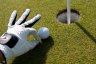 thumb_golf-bilder-kostenfrei (5)